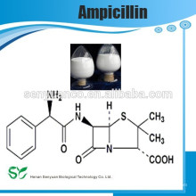 Hochwertiges Beta-Lactam-Penicillin-Antibiotikum Ampicillintrihydrat